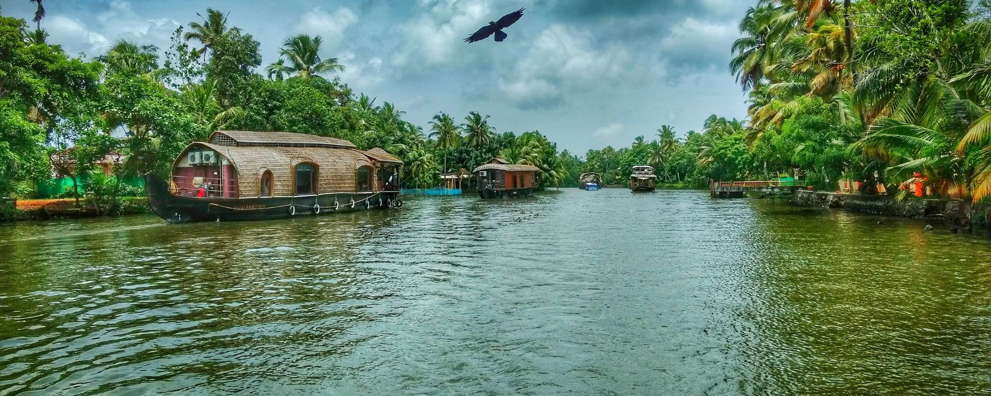 Stunning Kerala